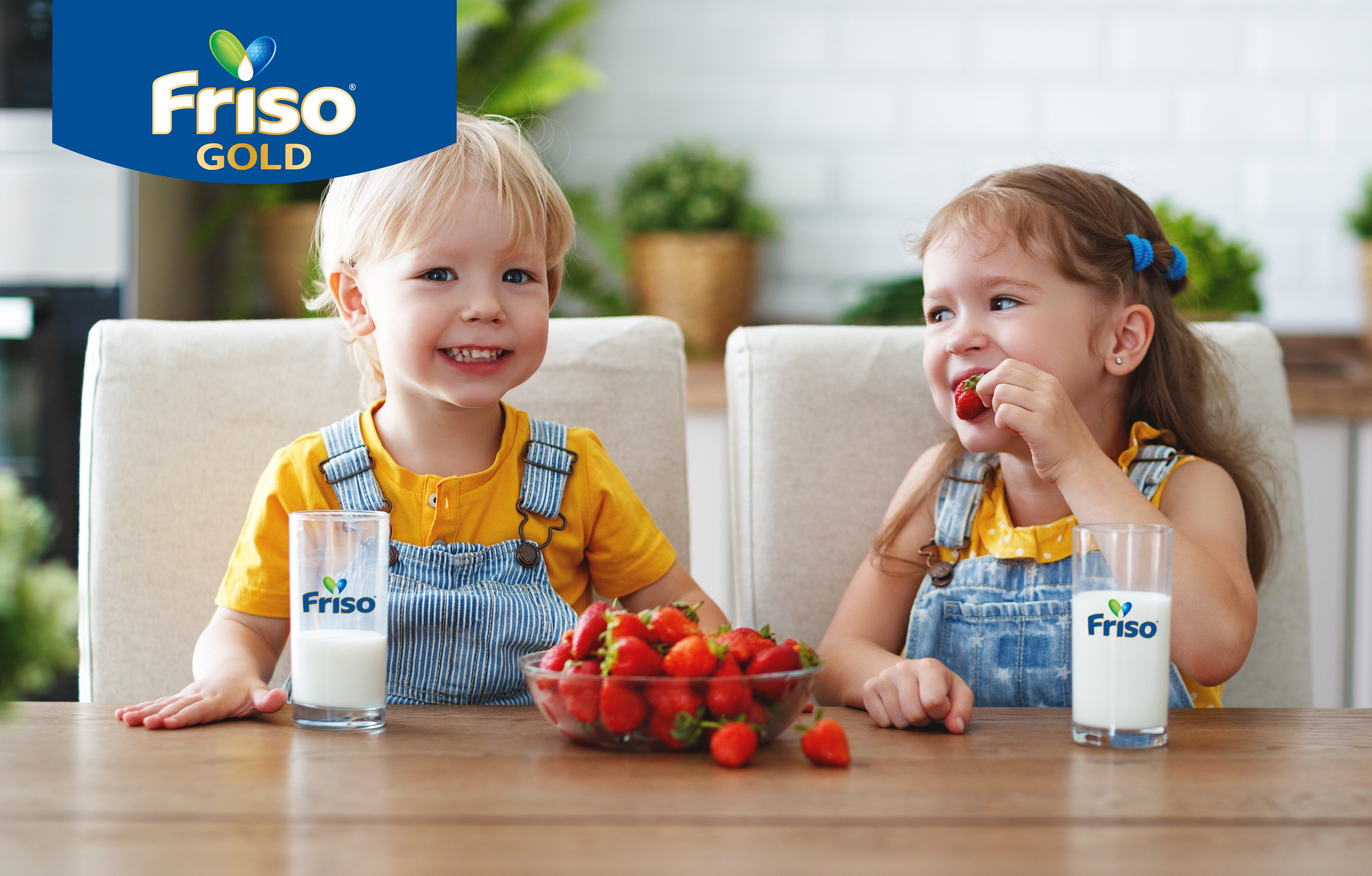 Fórmulas Especializadas (A partir de 0 meses)