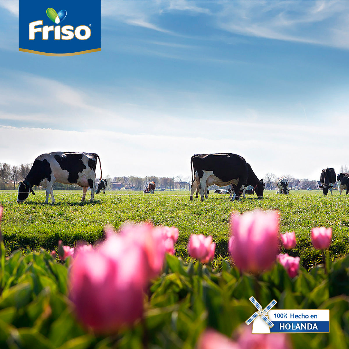 Bebé Friso en entorno familiar