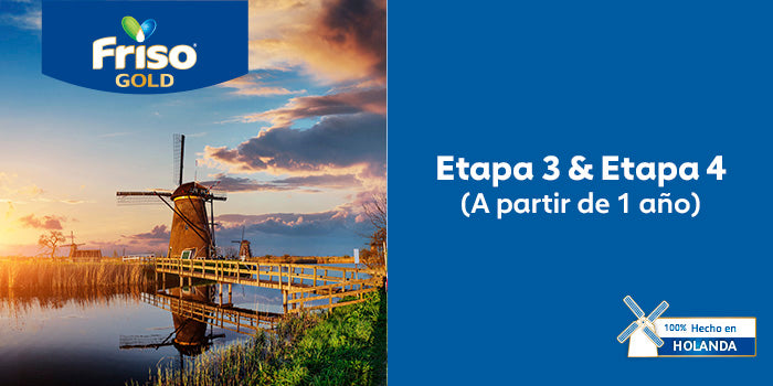 Friso Gold 3 & 4 (+1 año)