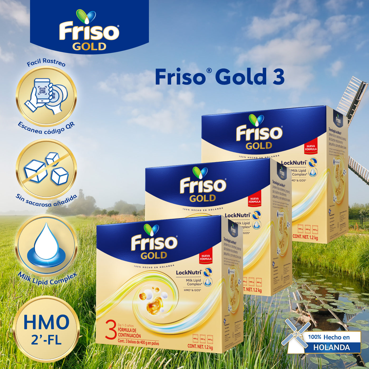 Friso Gold 3 (1-3 Años) 3 Pack 3.6 Kg