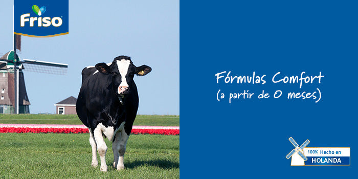 Fórmulas especializadas problemas digestivos